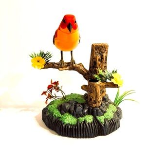 American (Red Robin) Bird Music and Tweet Box
